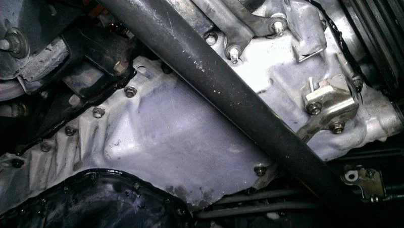 IMAG5112.webp