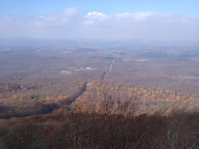 image-1103057991.webp