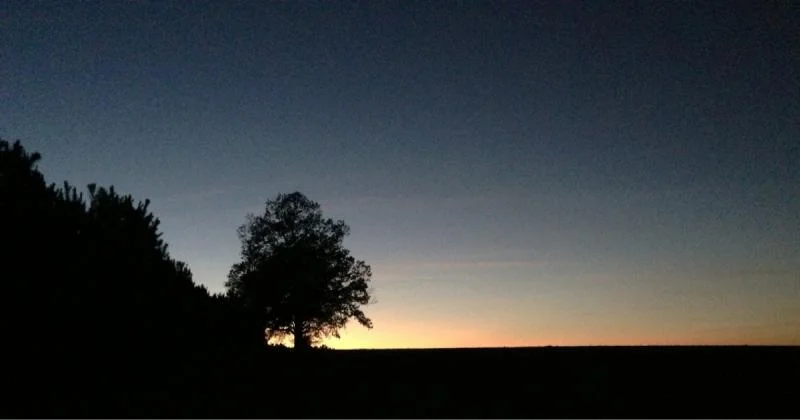 image-1114683006.webp