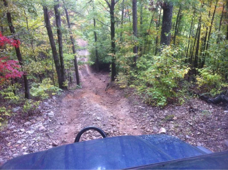 image-1171492763.webp