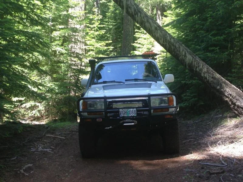 image-1177504092.webp