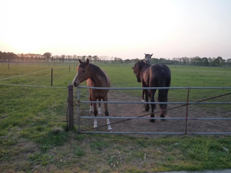 image-1183108104.webp