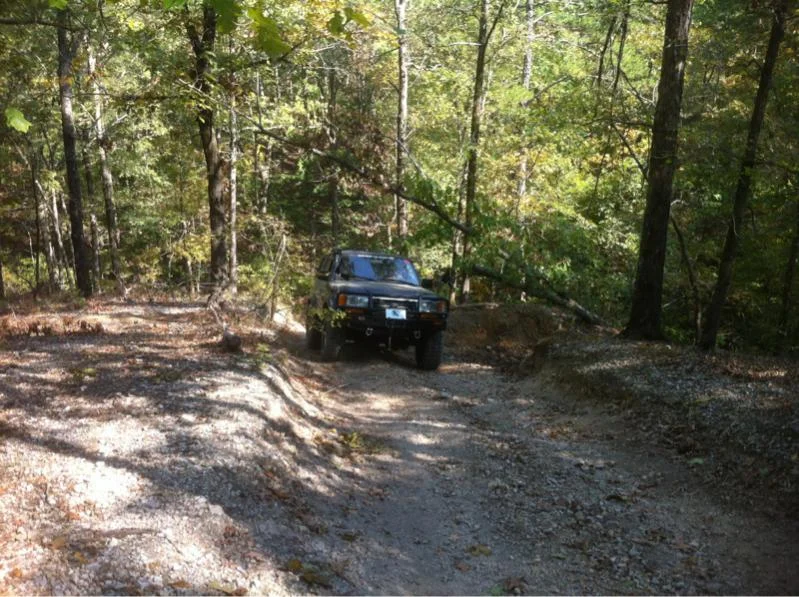 image-1187645306.webp