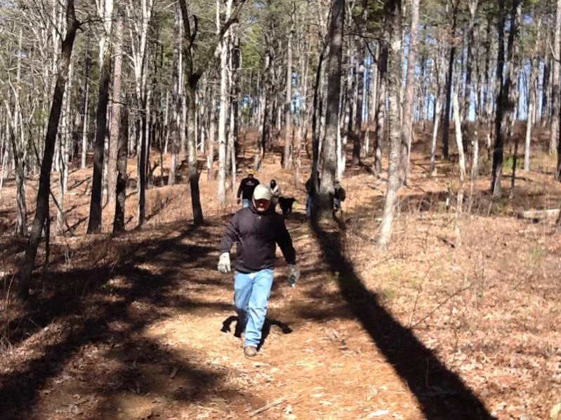 image-1202943675.webp