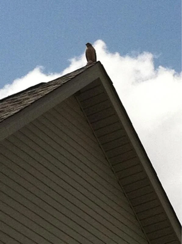 image-121991952.webp