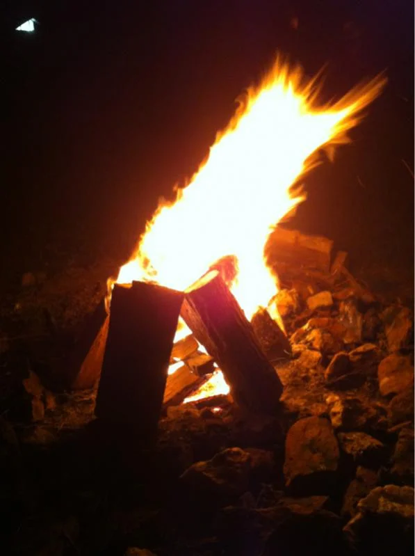 image-1227310173.webp