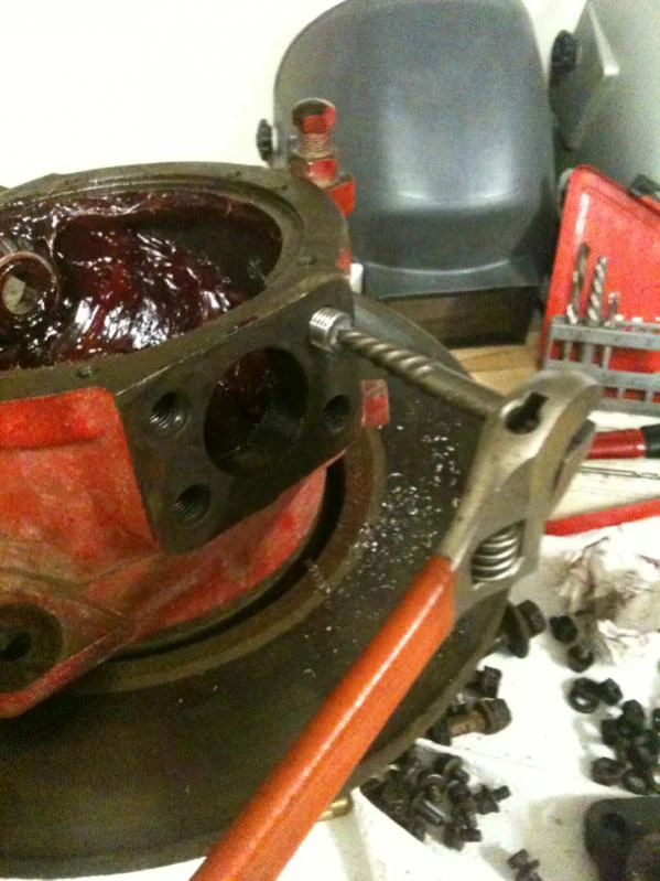 image-1295026824.webp