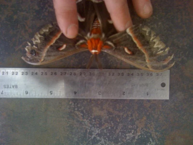 image-1370677789.webp