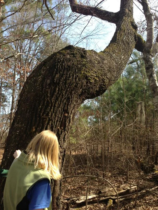 image-1447664397.webp