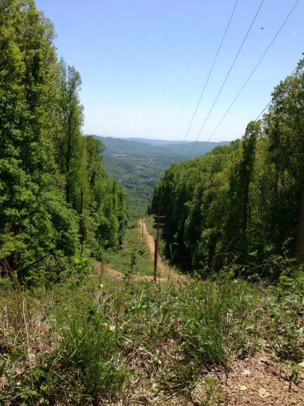 image-1482199816.webp