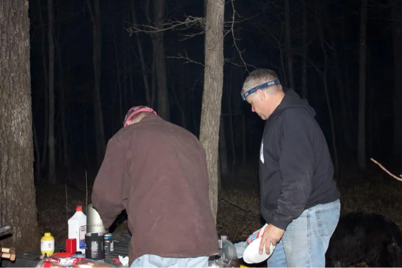 image-1519621269.webp
