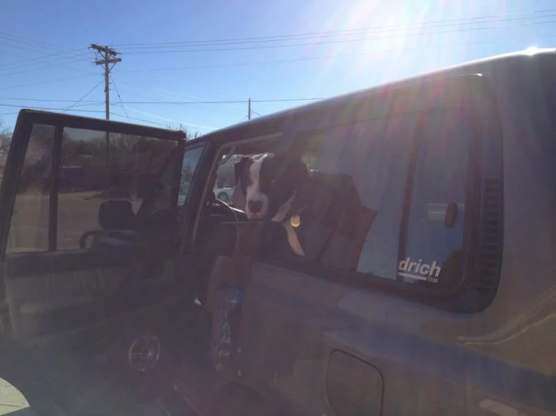 image-1702917554.webp