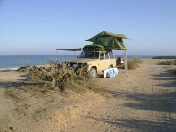 image-1725788833.webp