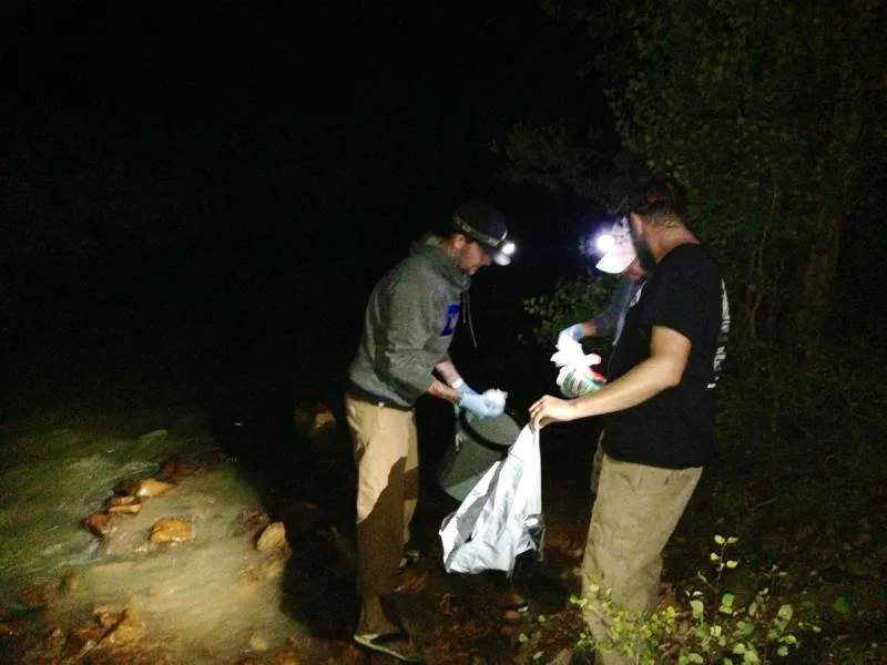 image-1735111523.webp