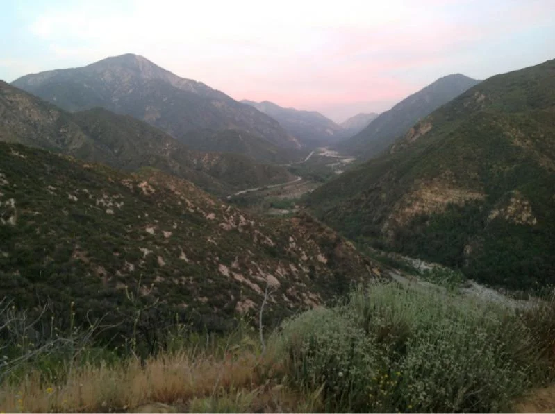 image-1824559200.webp