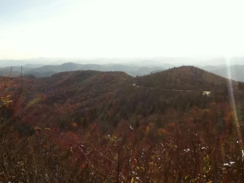 image-1845498787.webp
