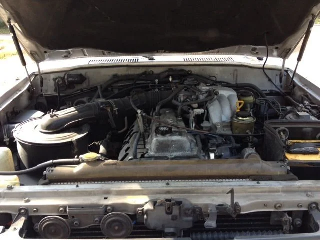 Image 19.webp