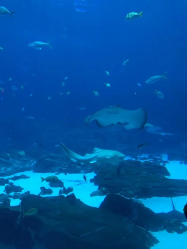 image-1911844930.webp