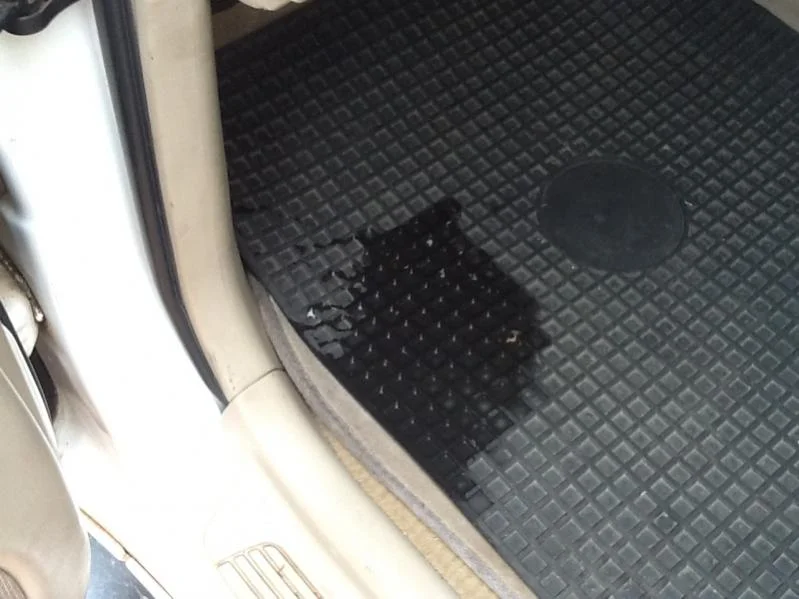 image-1993918316.webp