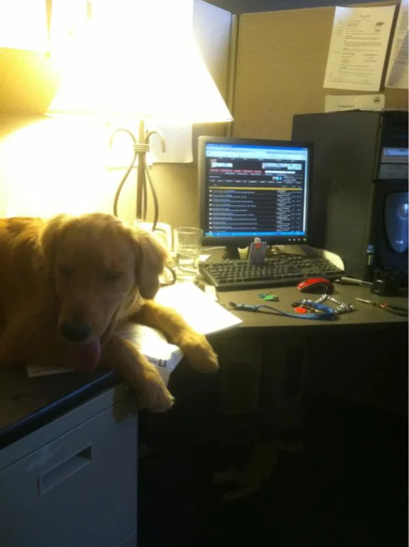 image-217555438.webp