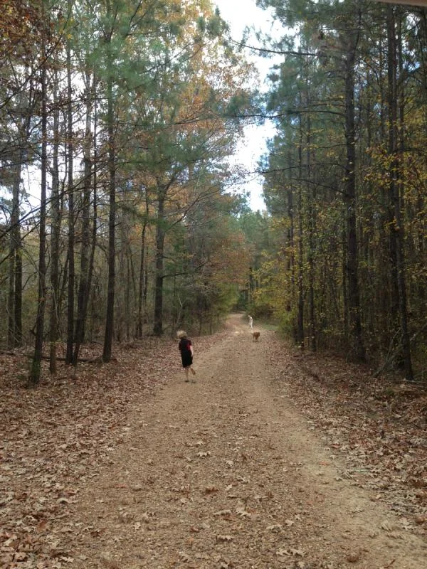 image-2236599627.webp