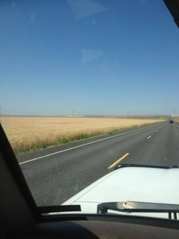 image-2313789022.webp