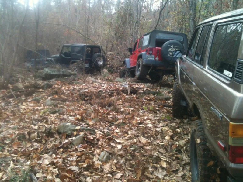 image-2366479330.webp