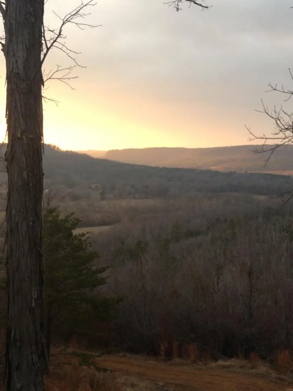 image-2459010619.webp