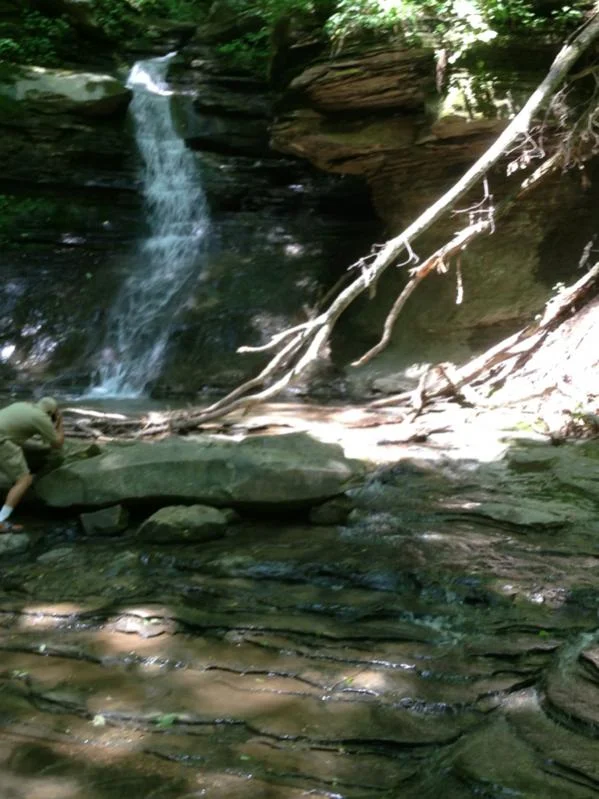 image-2593711043.webp