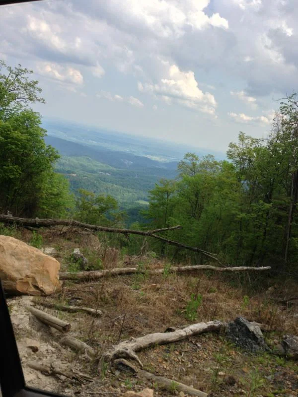 image-2734075031.webp