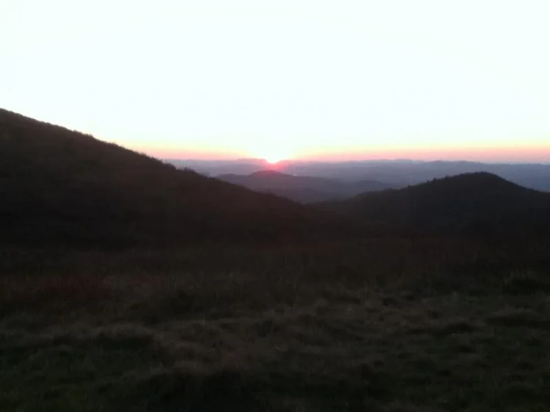 image-2752205799.webp