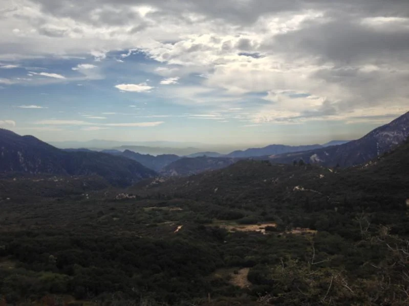 image-2778476225.webp