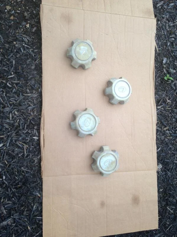 image-2779793476.webp