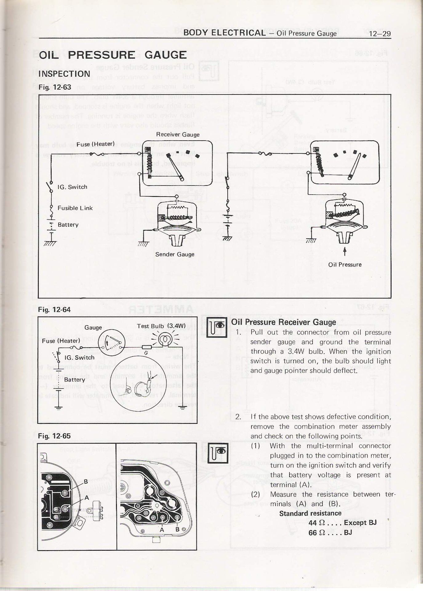 Image-29.JPG