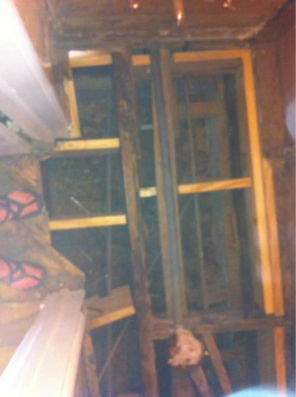 image-2904369890.webp