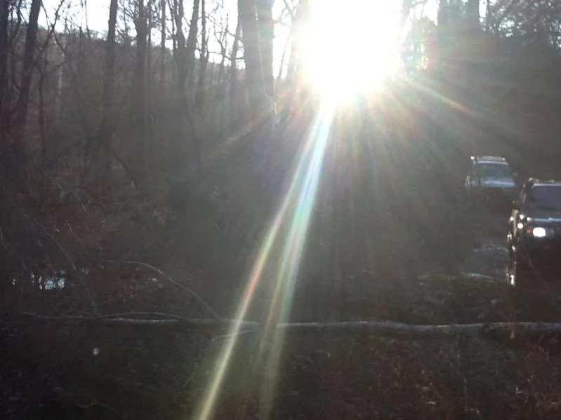 image-2929616689.webp