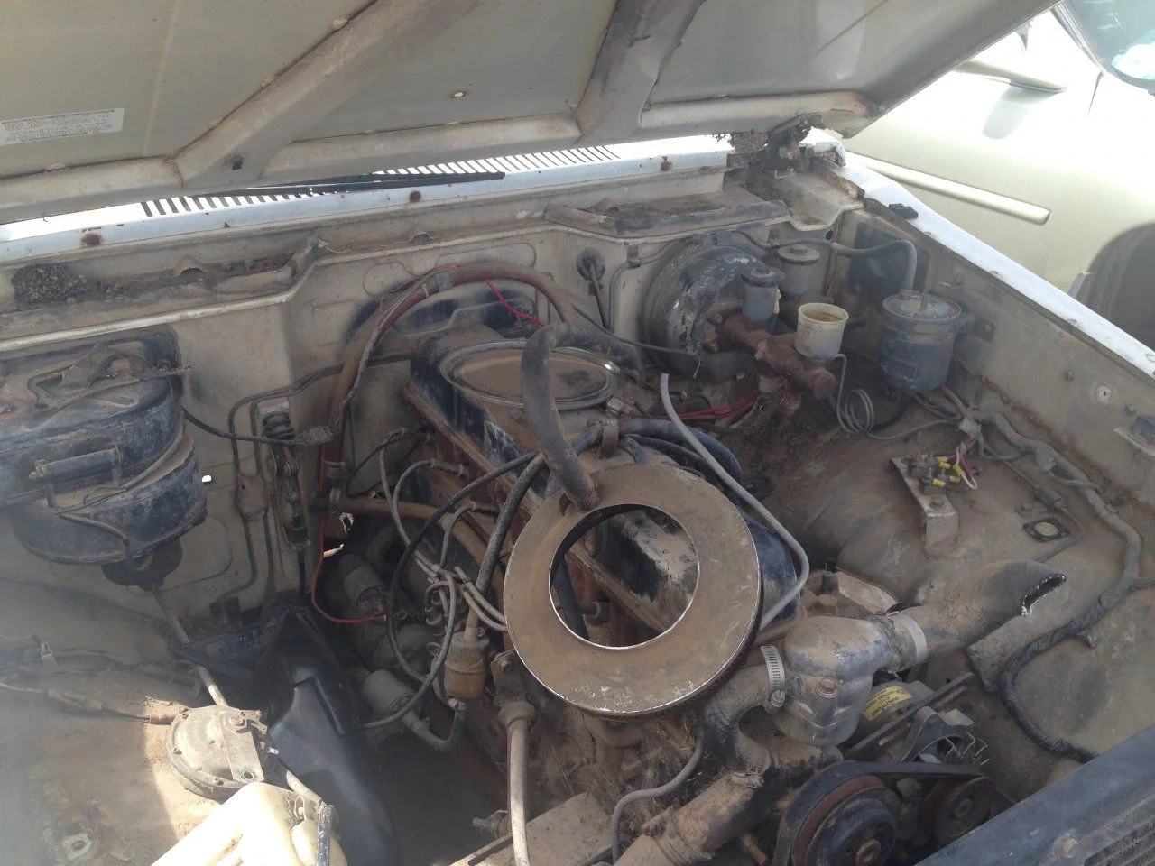 image-3.webp