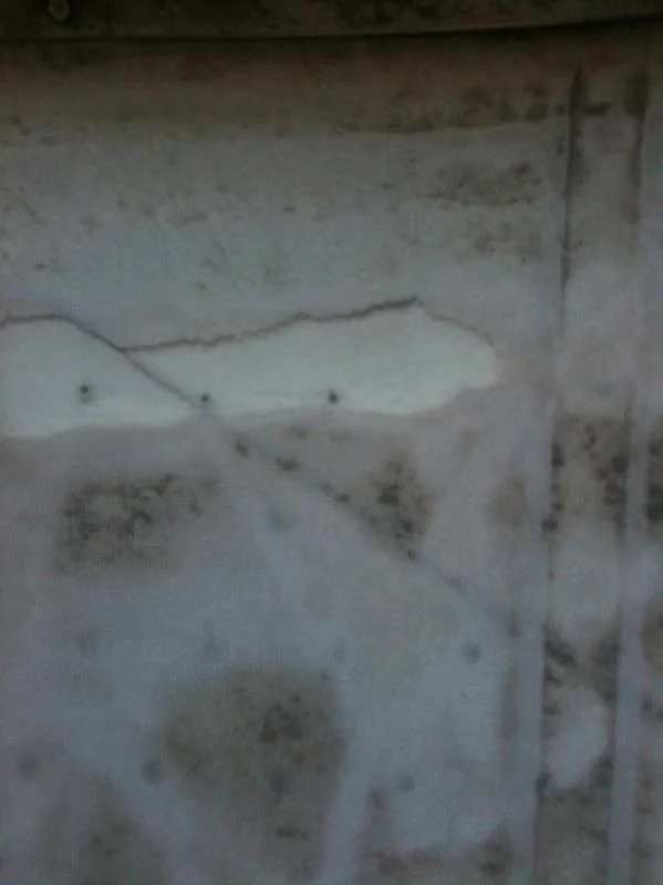 image-3009619587.webp
