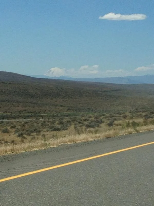image-3030791649.webp