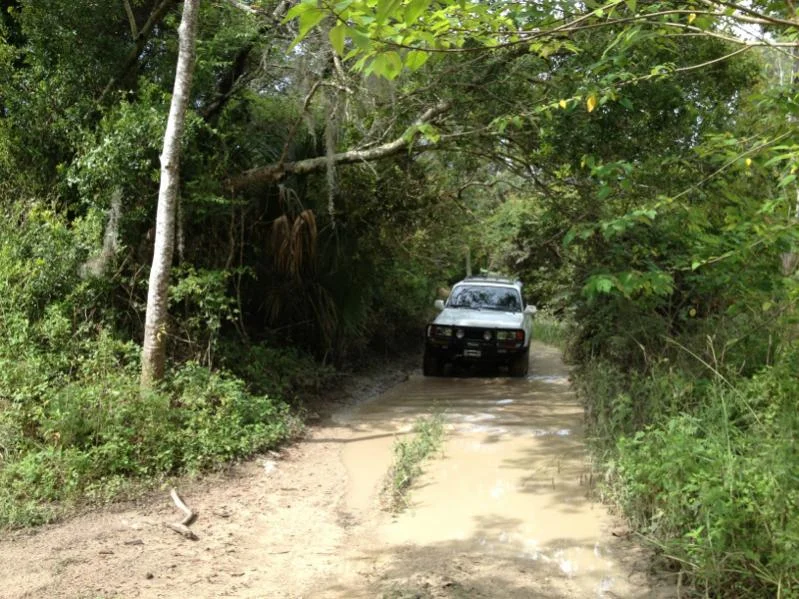 image-3071365012.webp
