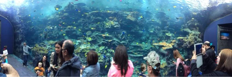 image-3099115666.webp