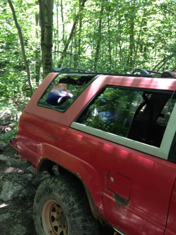 image-3109678190.webp