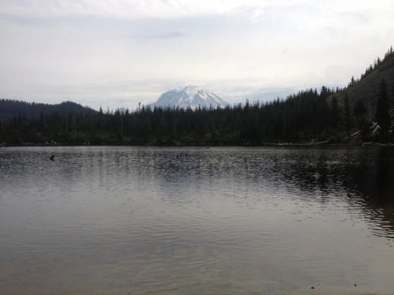 image-3205970480.webp