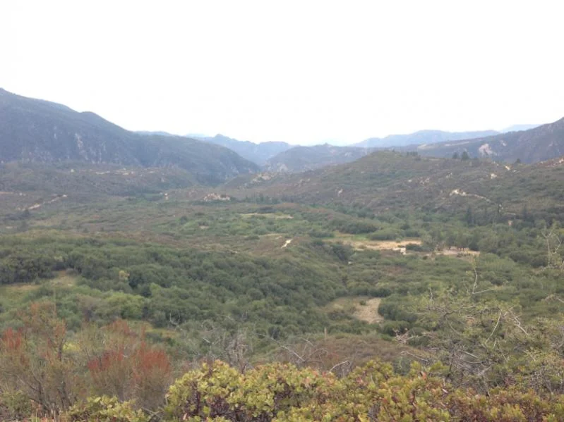 image-3286620932.webp