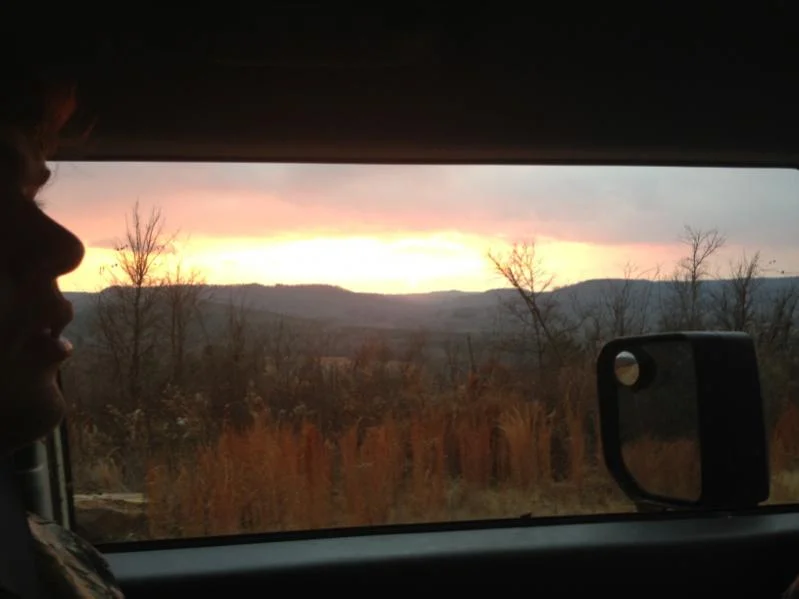 image-3299337633.webp