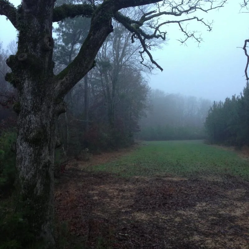 image-3381755175.webp