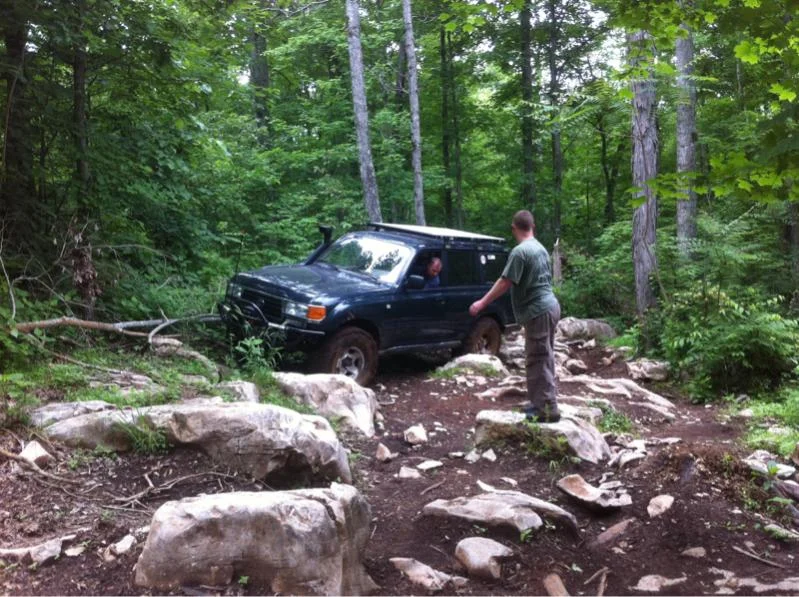 image-3602089540.webp