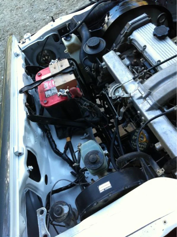 image-3619985569.webp