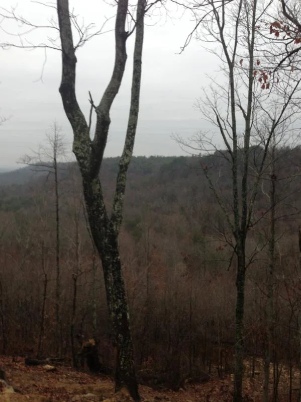 image-3642233260.webp