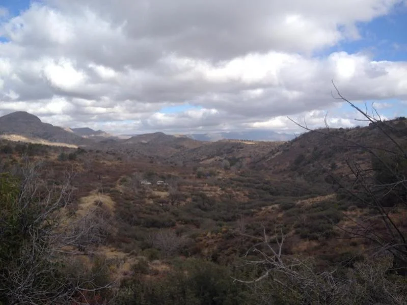 image-3662313929.webp